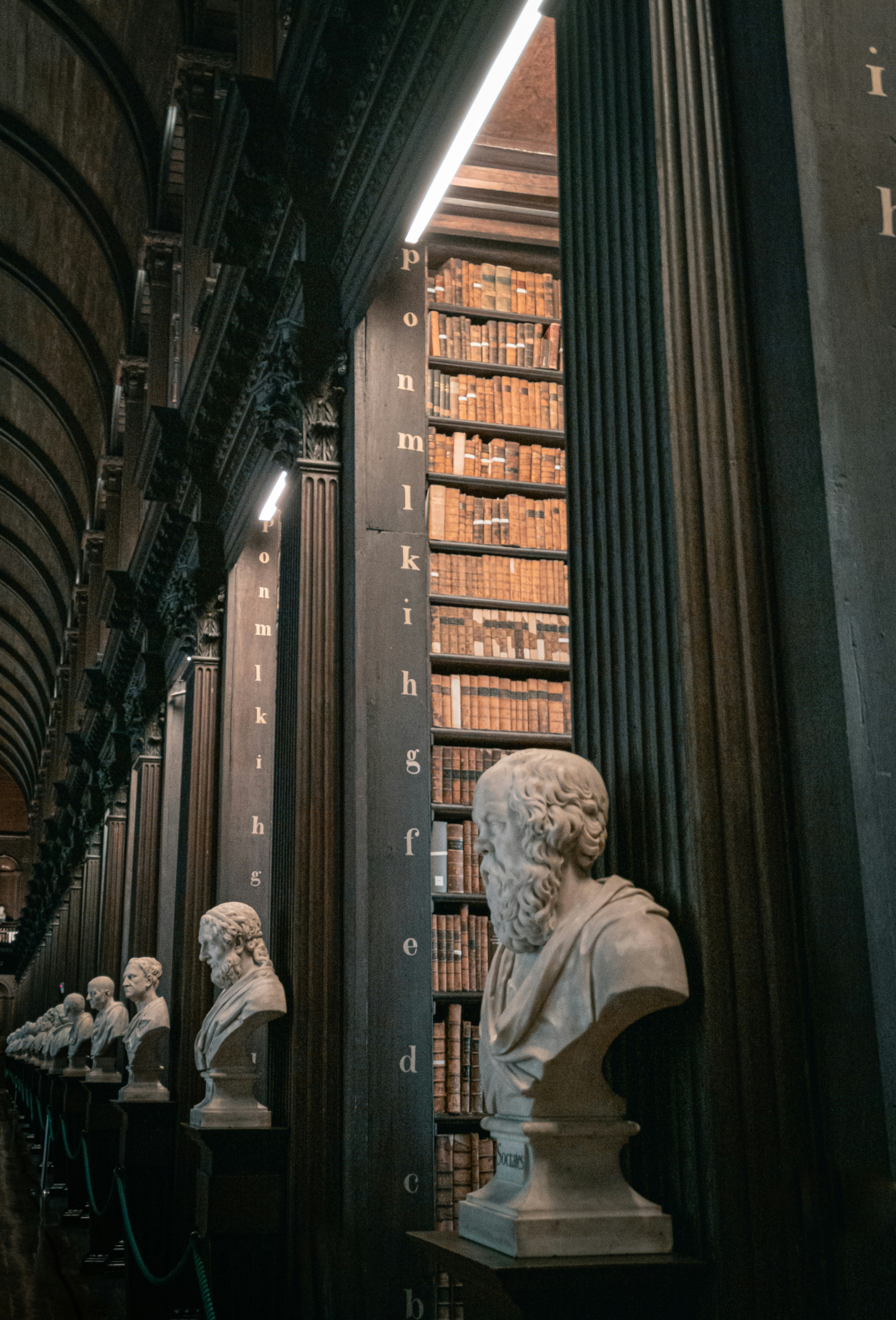 Classical library with legal books and busts representing legal expertise